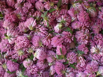 Similar image 285001