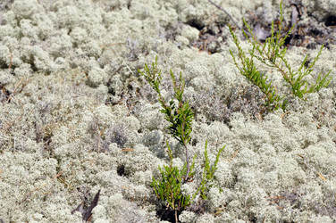 Similar image 285134