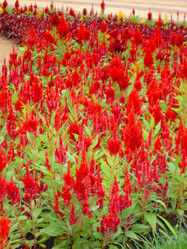 Similar image 285246