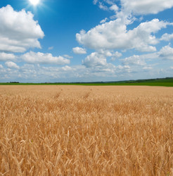 Similar image 285249