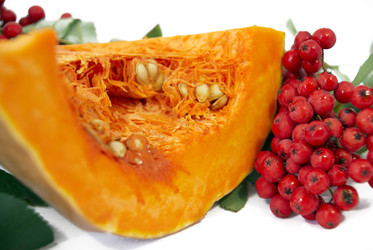 Similar image 285272