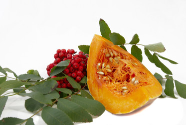 Similar image 285274