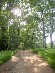 Similar image 285290