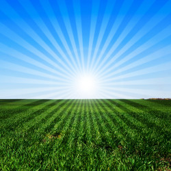 Similar image 285291