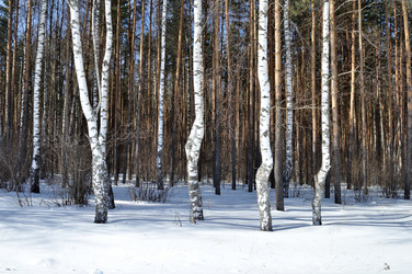 Similar image 285301