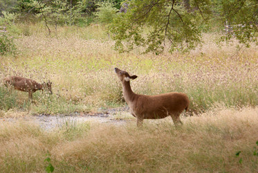 Similar image 285314