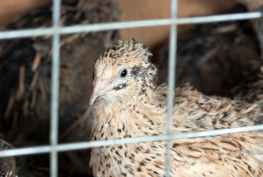 Similar image 285320