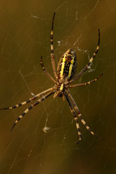 Similar image 285346