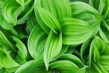 Similar image 285357