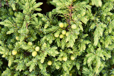 Similar image 285386