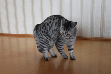 Similar image 285417