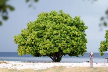 Similar image 285435