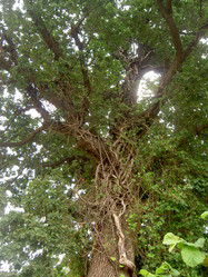 Similar image 285450