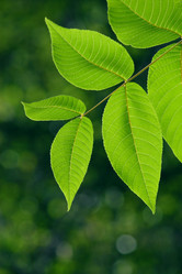 Similar image 285467