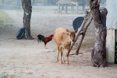 Similar image 285500