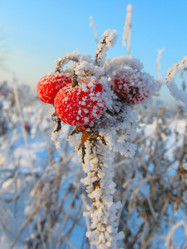 Similar image 285507