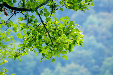 Similar image 285513