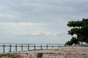 Similar image 285555