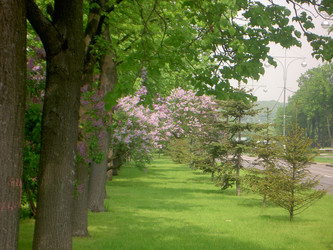 Similar image 285557