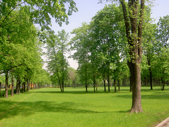 Similar image 285559