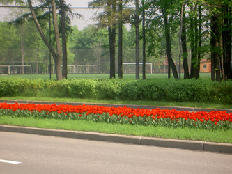 Similar image 285561