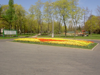 Similar image 285562