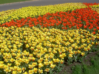 Similar image 285563