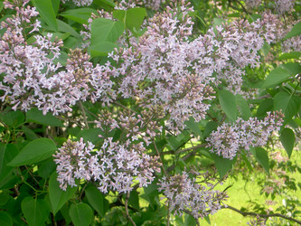 Similar image 285580