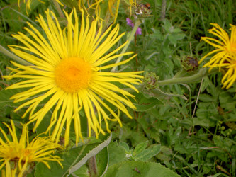 Similar image 285606