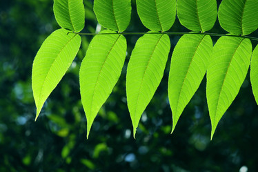 Similar image 285613