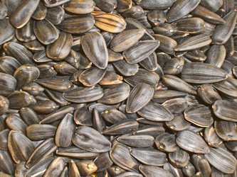 Similar image 285635