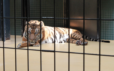 Similar image 285640