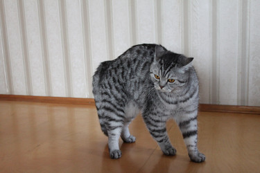 Similar image 285649