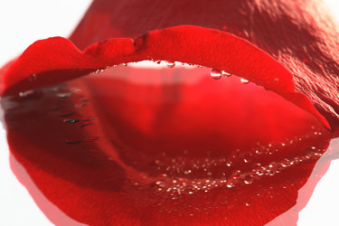 Similar image 285704