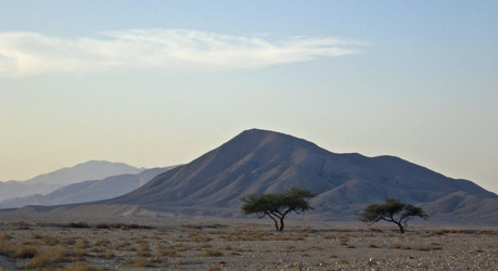 Similar image 285742