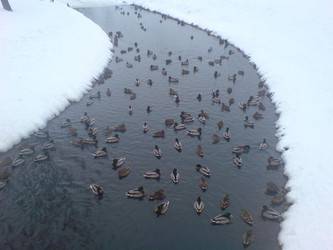 Similar image 285756