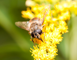 Similar image 285788