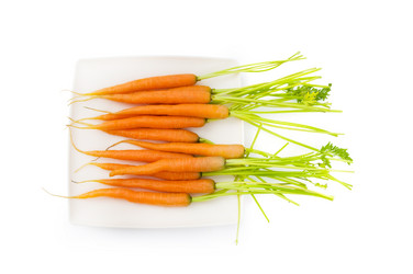 Similar image 285802