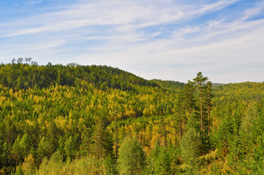 Similar image 285827