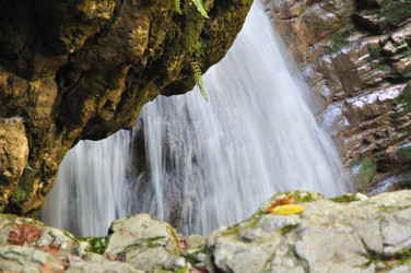 Similar image 285943