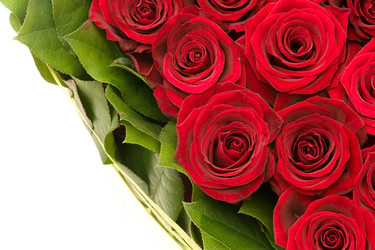 Similar image 285953