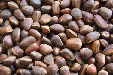 Similar image 285979