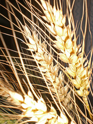 Similar image 285998