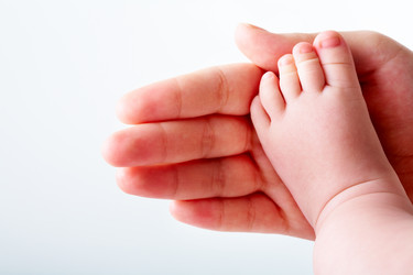 Similar image 286011