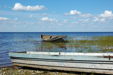 Similar image 286032