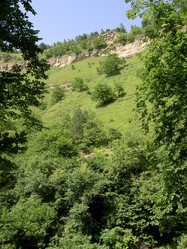 Similar image 286143