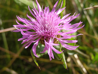 Similar image 286195