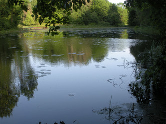 Similar image 286204