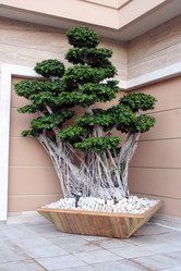 Similar image 286212