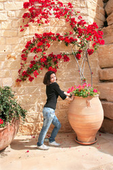 Similar image 286243